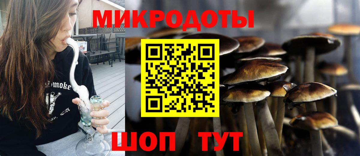 Галлюциногенные грибы ЛСД  Вход с VPN  Псилоцибиновые грибы мухоморы  Кингисепп 