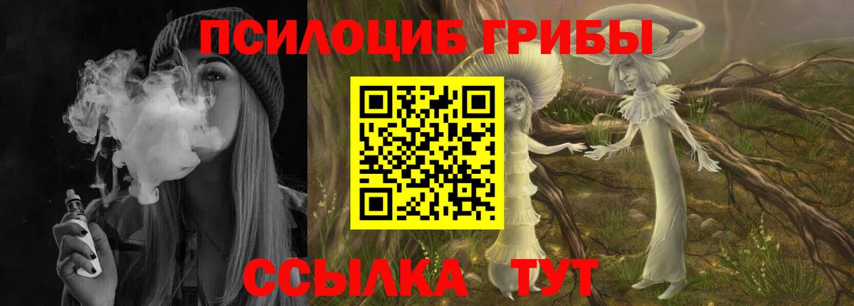 Псилоцибиновые грибы прущие грибы Кингисепп